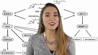 Fucoxanthin Weight Loss Reviews - Fucoxanthin Reviews