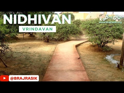 Nidhivan Darshan - Vrindavan  | Braj Ras