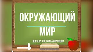 Круглый стол «Приемы мотивации учебной деятельности на уроках»