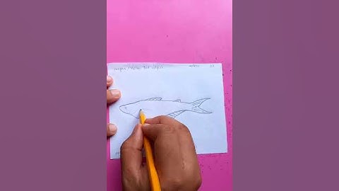 পাঙ্গাস মাছ | yellow tail catfish | original tutorials #satisfying #creativeart #drawingforbeginners