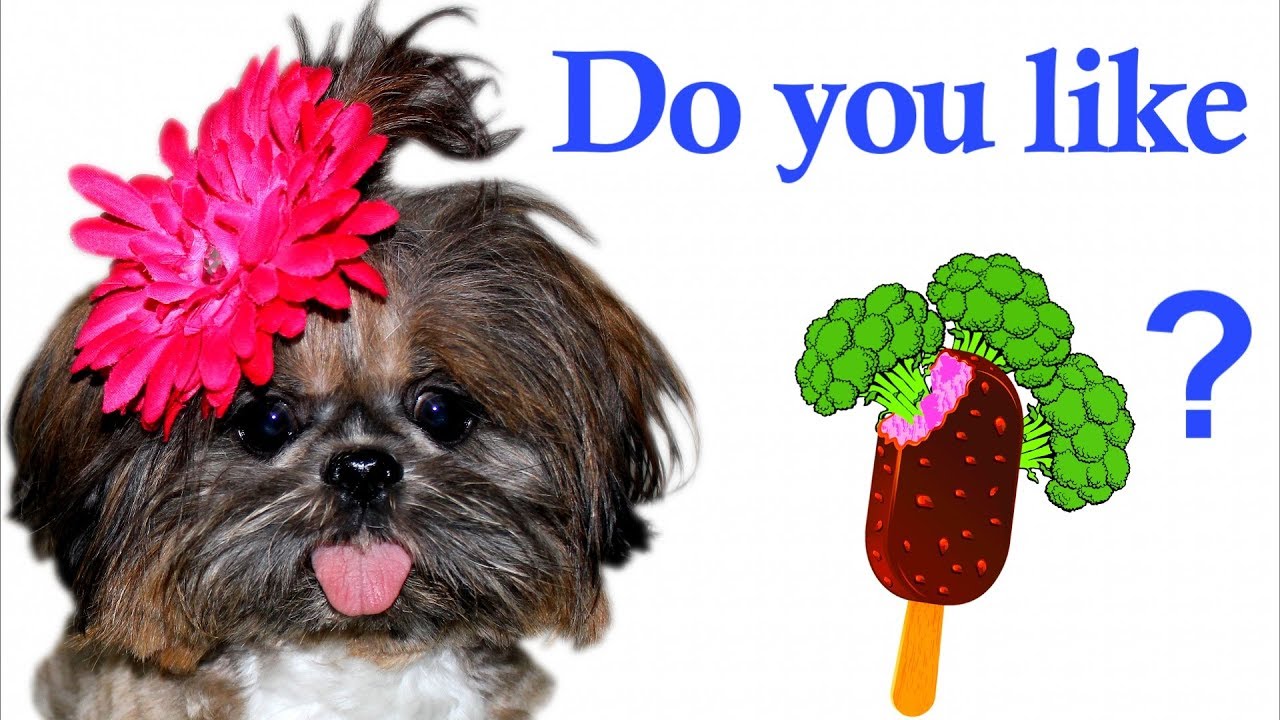 Вам нравится мороженое с брокколи? | Детские песенки с Маленькой Конфеткой