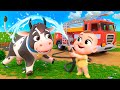 Vehículos Ayudan Animales  + Más Lalafun Canciones Infantiles y Música para Chicos