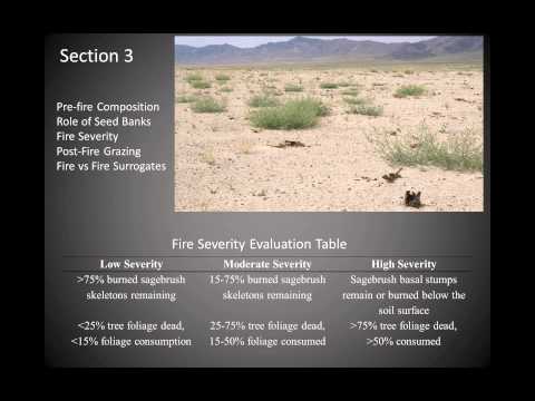 Brandeffecten op vegetatie en bodems in het Great Basin: respons en kenmerken van de locatie