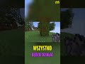 Stwórz Datapack w Minecraft w 5 Minut! Proste i Skuteczne! #shorts