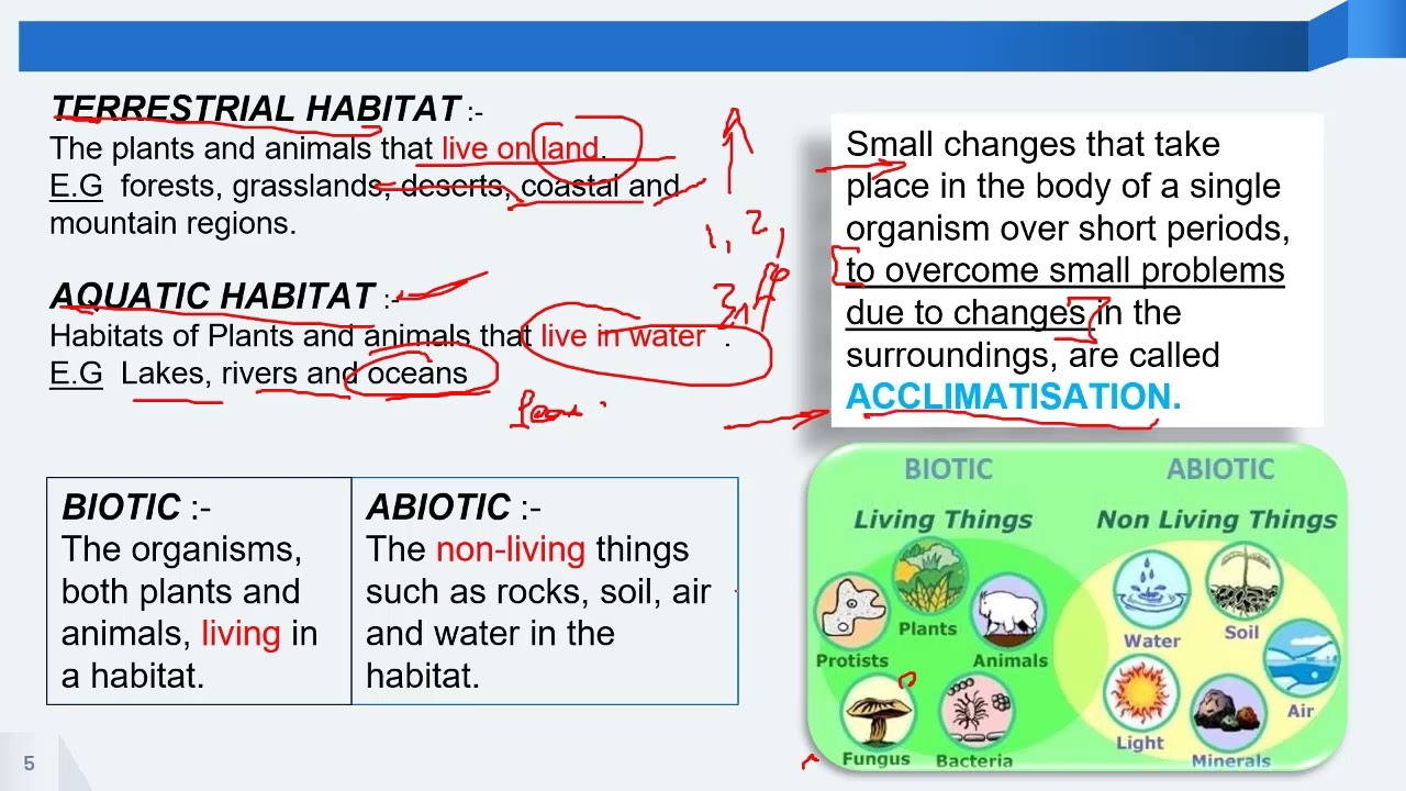 NCERT Class 6 Science Chapter 9 The Living Organisms- Characteristics and Habits