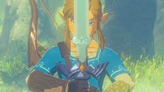 how rusty am I at TRIAL OF THE SWORD?! screenshot 4