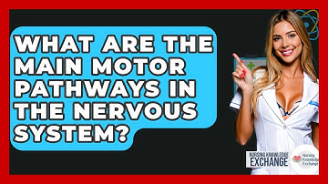 What Are The Main Motor Pathways In The Nervous System? - Nursing Knowledge Exchange