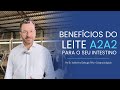 Ref:4cN8hHF-Z2c Como o leite a2a2 pode ajudar seu intestino  | dr. valdomiro garbugio filho