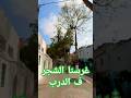 غرسنا الشجر ف الدرب ف 2004 Pourtoi Fypyoutube Fypシ Viral Fypage Reels Halalentertainment 
