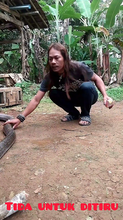 kalo ukuran begini benar bikin tegang🙏