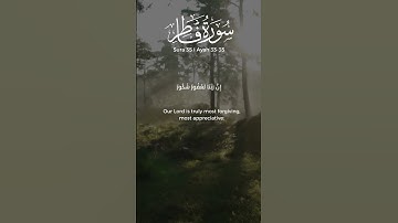 سورة فاطر | الَّذِي أَحَلَّنَا دَارَ الْمُقَامَةِ مِن فَضْلِهِ |