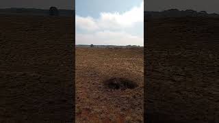de Hoge Veluwe Gelderland  - ons inheems geheugen by wisdom4you.nl - Deel2