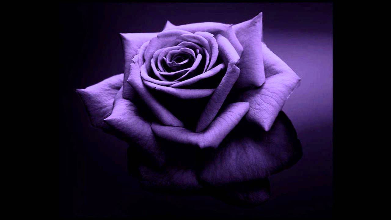 YouTube에서 Serial Killaz - Authentic 보기 YouTube에서 Serial Killaz - Authentic 보기