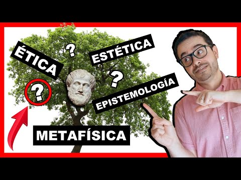 Video: ¿Cuáles son las diferentes subdisciplinas de la filosofía?