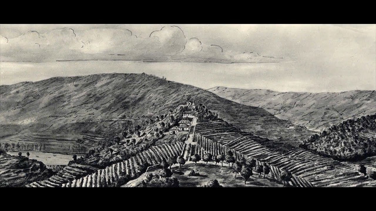 Quinta do Crasto - promo Institucional