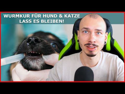 Video: Pyrantel Pamoate Für Hunde Und Katzen