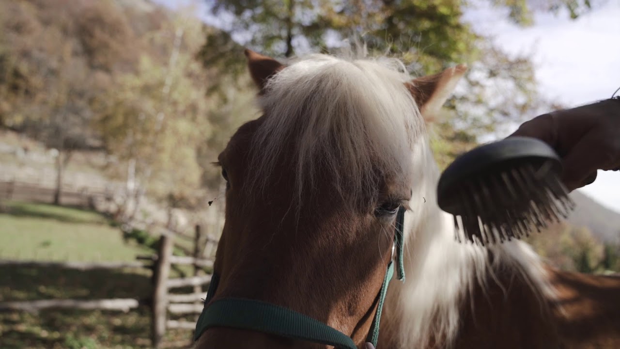 Vivere in Montagna Case Mandria Caprie Torino