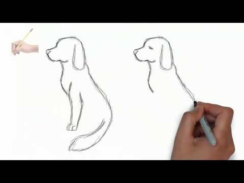 Как нарисовать собаку простым карандашом