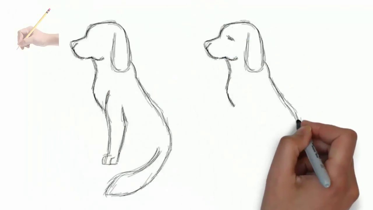 Собака карандашом легко поэтапно