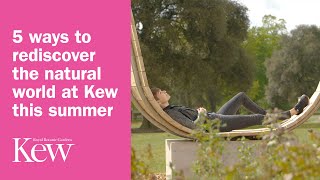 5 ways to rediscover the natural world at Kew this summer
