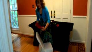 Spandex Chair Covers by Premier Table Linens