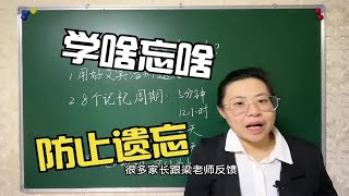 如何提升孩子的记忆力？
