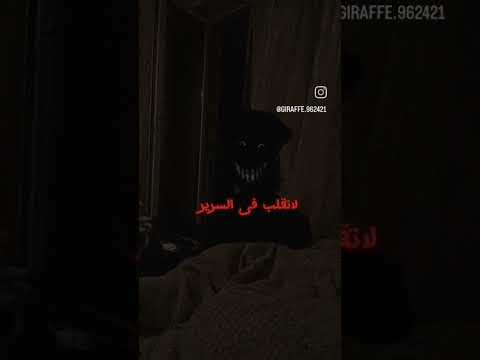 أغنية ماشا رعب رعب نص الليل  ماشا 