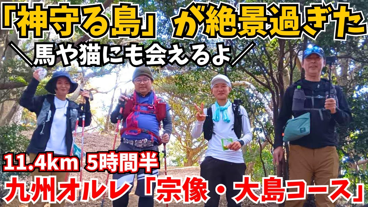 【馬‼️絶景‼️】大島を歩いて１周したら、楽し過ぎて「大好きな場所」になった🏝【大島オルレ(後編)】