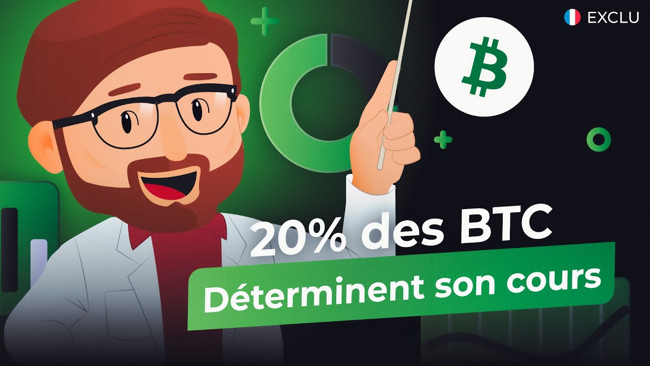 PRIX DU BITCOIN : 20% des BTC déterminent son cours ? - Analyse on-chain du  Prof. Chaîne 🔬