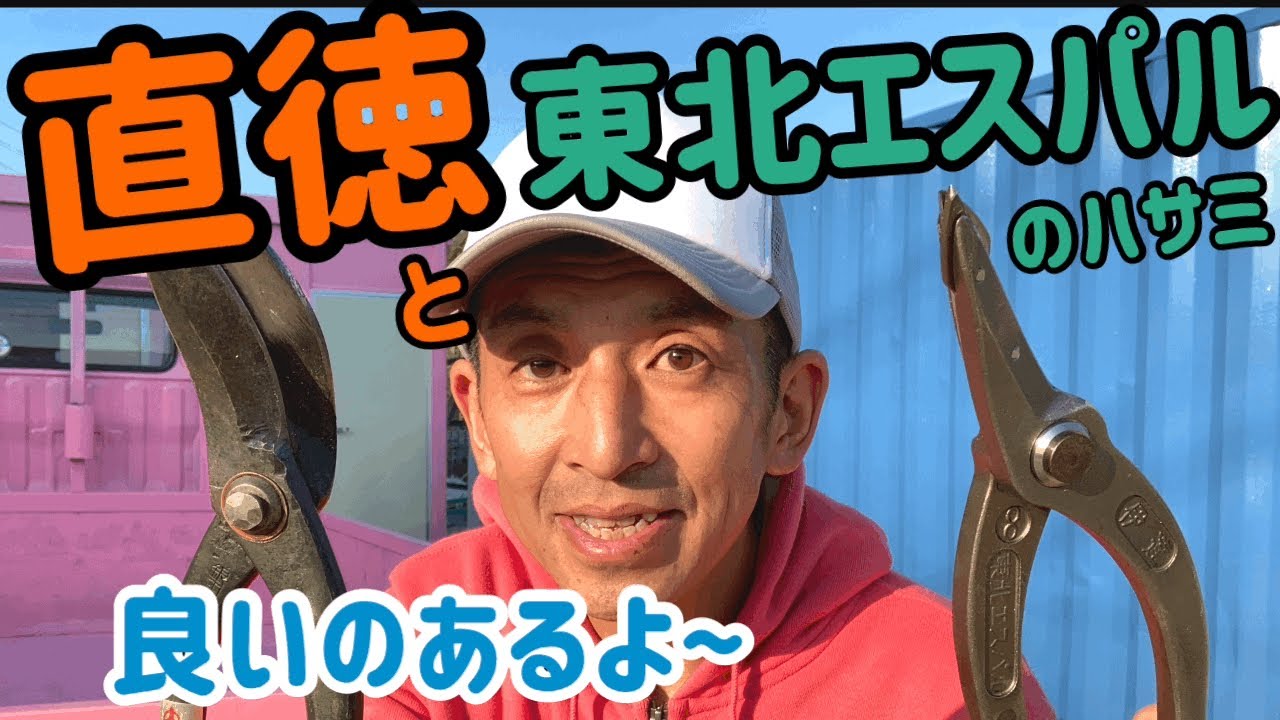 直徳 ガルバカット GL 激し 金切鋏 / ハサミ
