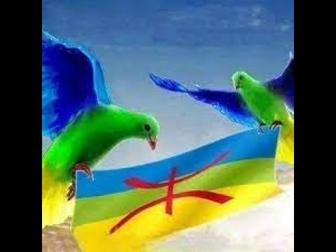 تمناضين شعر امازيغي