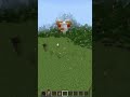 chicken bomb! #minecraft #bedrock #gaming