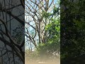 Lote Desamparados San Juan De Dios | C21 Fidelity