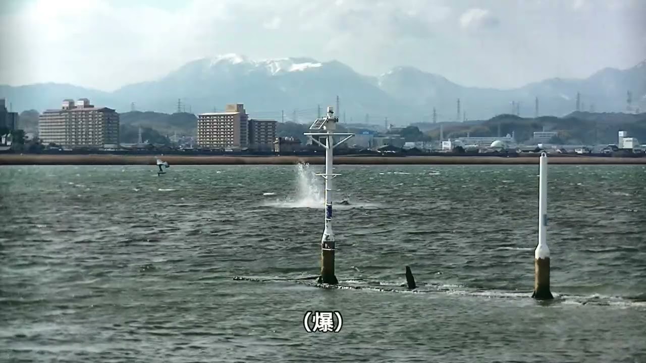 2025.2.26.水曜日　4.5㎡ウィング　ジャスト・オーバーコンディション　ジャイブコケまくりシリーズ！！　最高速度35.7㌔