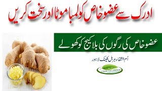 Adrak Se Ling Ko Lamba Mota Aur Lohe Ki Tarah Mazboot Banaye in urdu