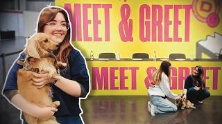 Pea's first meet & greet! (DreamHack Birmingham)