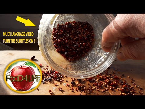 This Superman Fruit inside does everything to your Body ! Rose hip secret