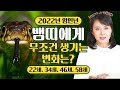 2022년 임인년 대박나는 뱀띠운세?!&#39;/ (22세,34세,46세,58세) 뱀띠에게 무조건 일어나는 큰 변화 &#39;뱀띠운세&#39;
