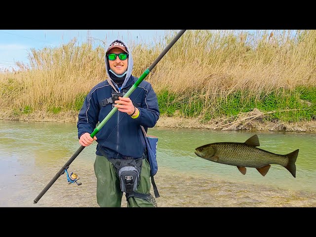 FINALLY A BIG FISH FROM THE RIVER! Multi-Species Fishing with worms, VERY  THIN lines and TINY hooks 