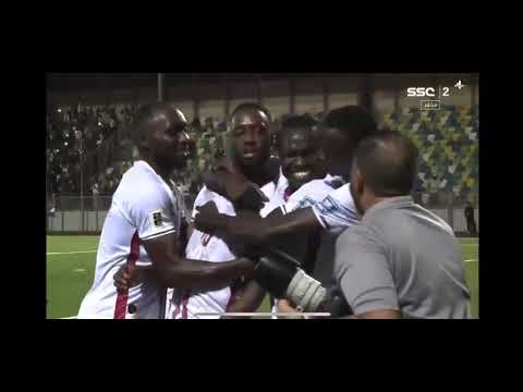 اهداف السودان و توغو محمد عيسي