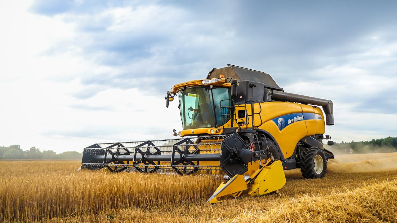 ŽNĚ 2024//HARVEST 2024//SKLIZEŇ OZIMÉHO JEČMENE//HARVEST BARLEY