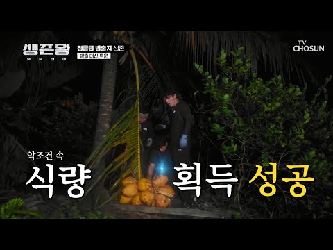 정글팀은 무너지지 않아💪 악조건 속에서 찾아낸 식량🍌 TV CHOSUN 241028 방송 | [생존왕 – 4회]  | TV조선
