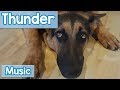 Music for Dogs Scared of Thunder! Calming Music to Help Dogs Scared of Thunder, Lightning and Storms