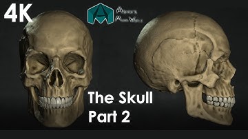 Creating Realistic Skulls in Maya: From Basics to Advanced 4K Part_2 #maya #3d #4k