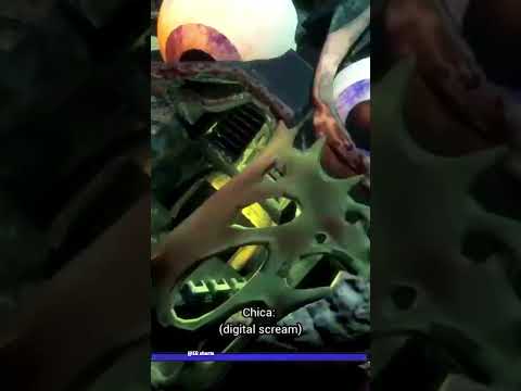 Chica FNAF Ruin