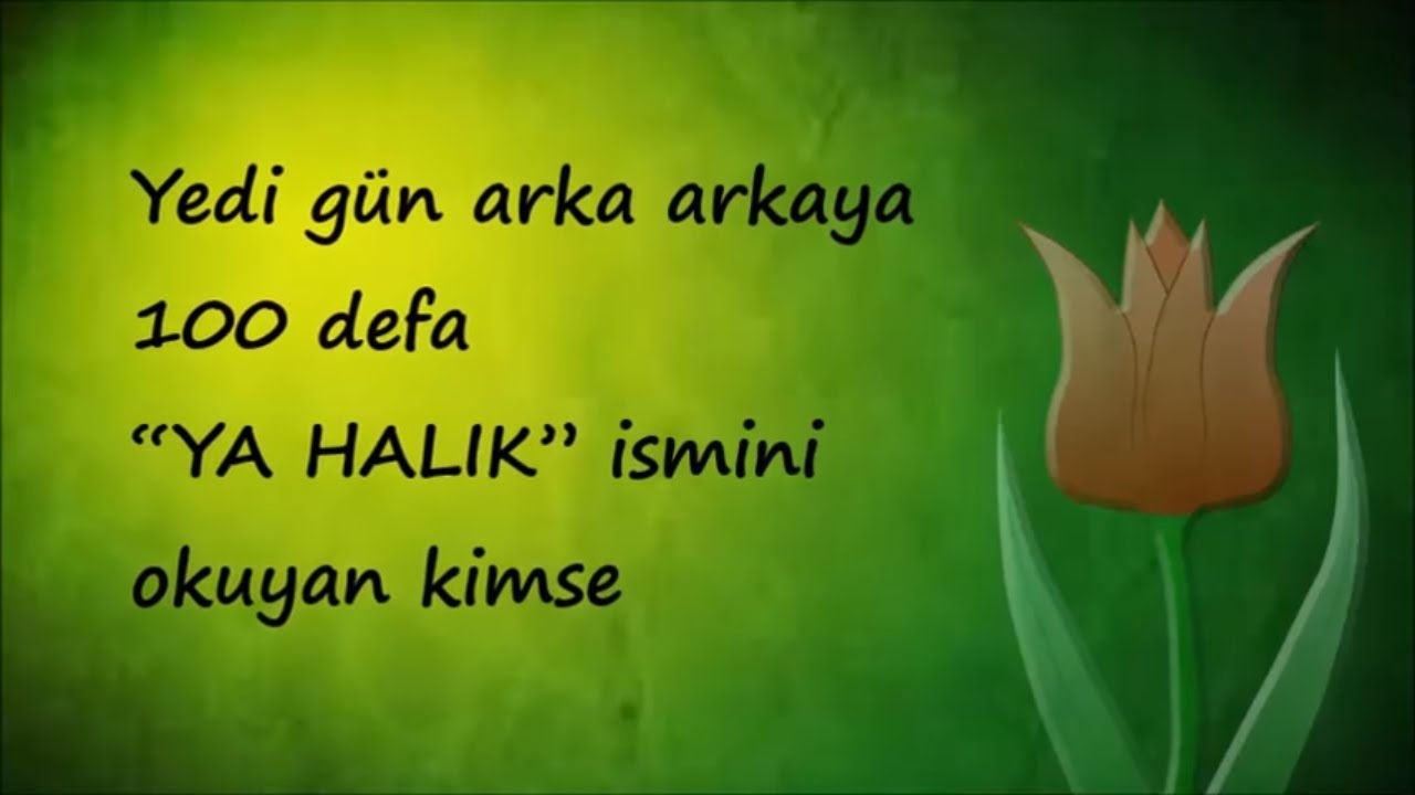 saglikli yasam panosundaki pin