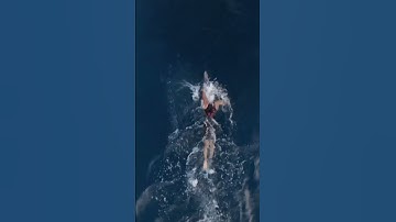Sit back and enjoy a swim masterclass from Lucy Charles-Barclay😍 #IMWC2023 #IRONMANtri  #swimbikerun