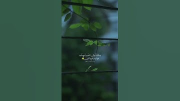 ألا بذكر الله تطمئن القلوب- حالات واتس قران كريم بصوت جميل تلاوة عذبه