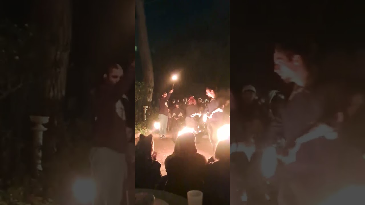 la experimental barcelona 