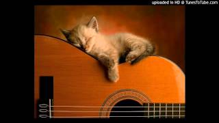 Consuming Fire (Acoustic Guitar Cover)